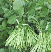 地場産にこだわった教室 ～水かけ菜漬～